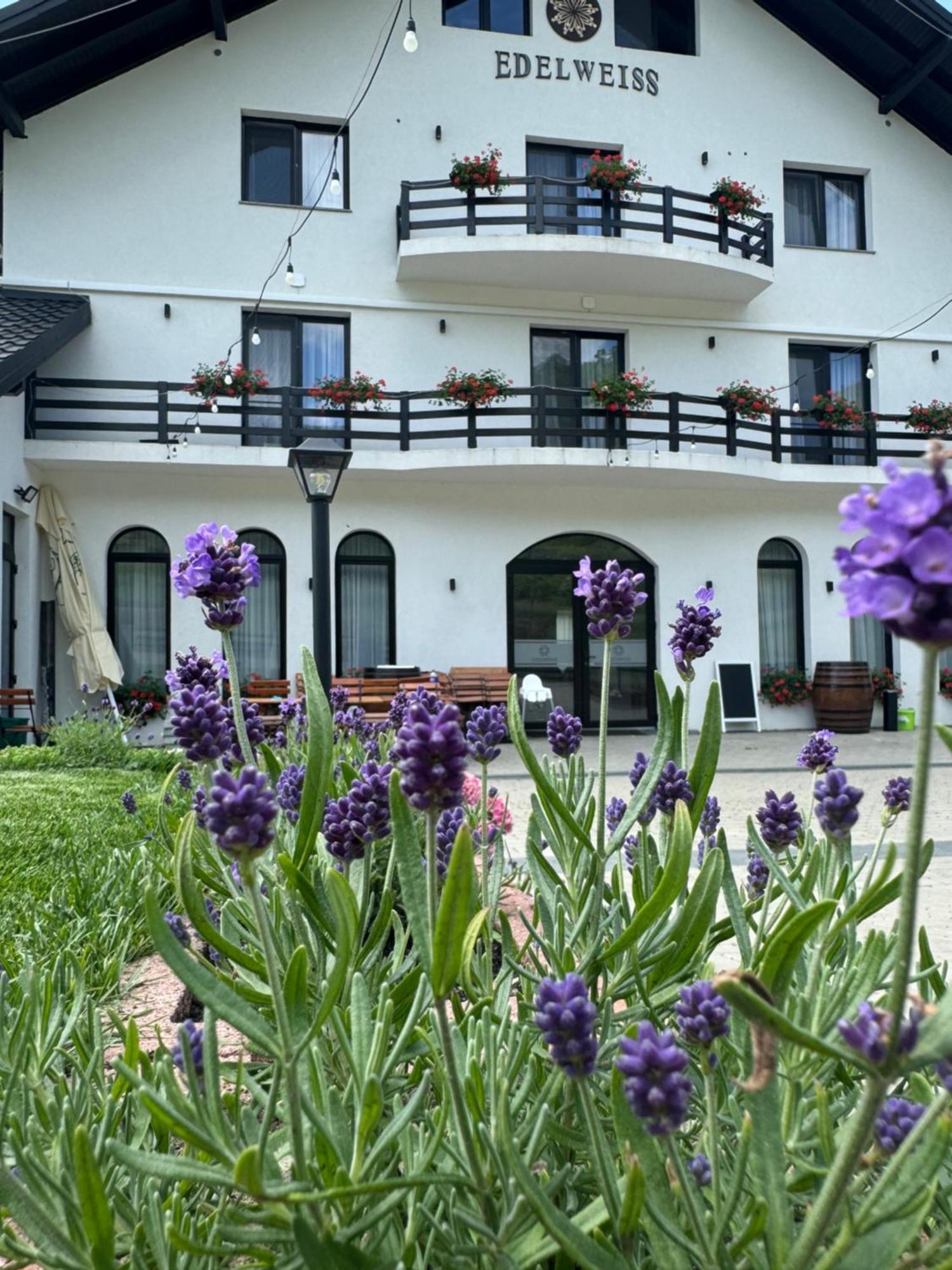 Evenimente Edelweiss Hotel Bogdan Voda Luaran gambar